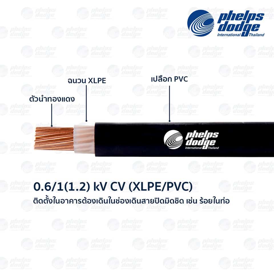 โครงสร้างสาย CV